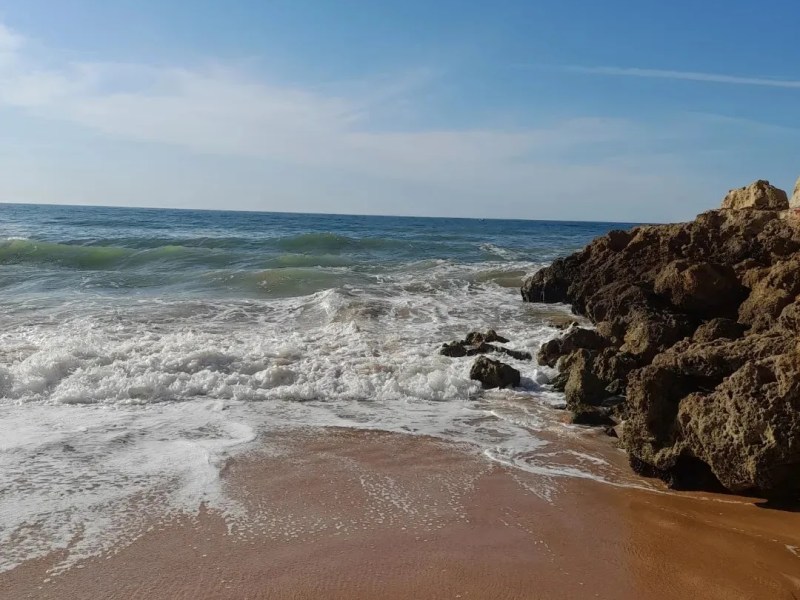 What if there is no&nbsp;plan?